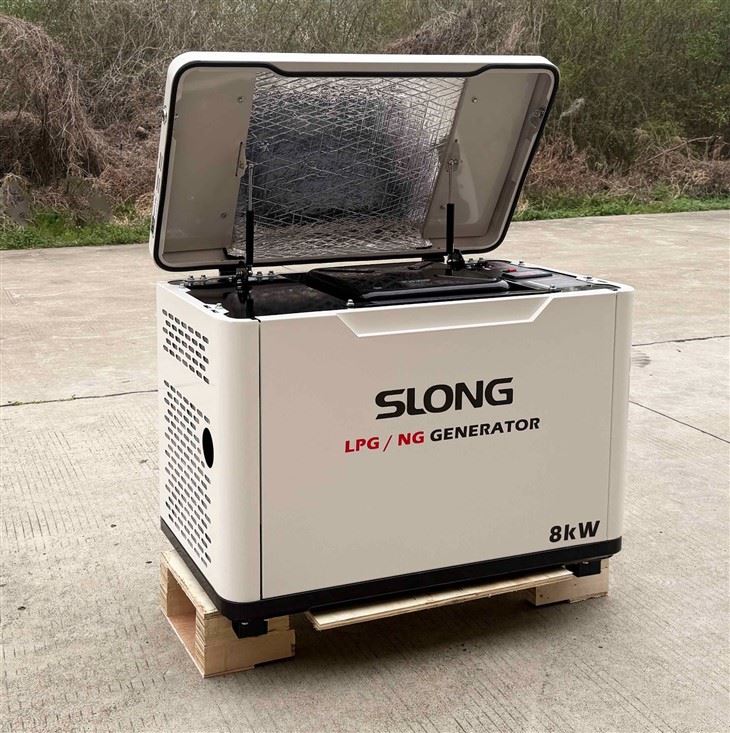 Home Standby Natural Gas Generator LPG/NG Dual Fuel Generator